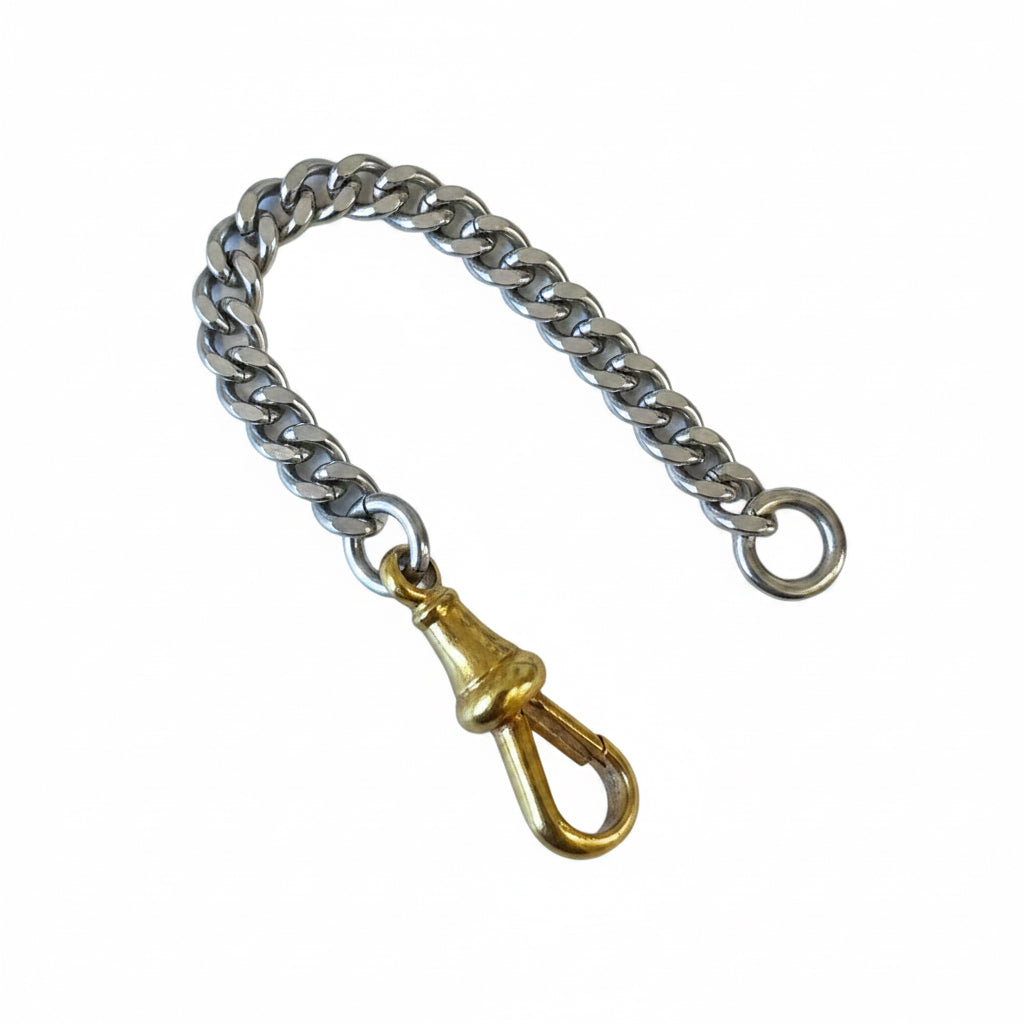 Antique Sterling Albert Extender with 9ct Gold Dog Clip