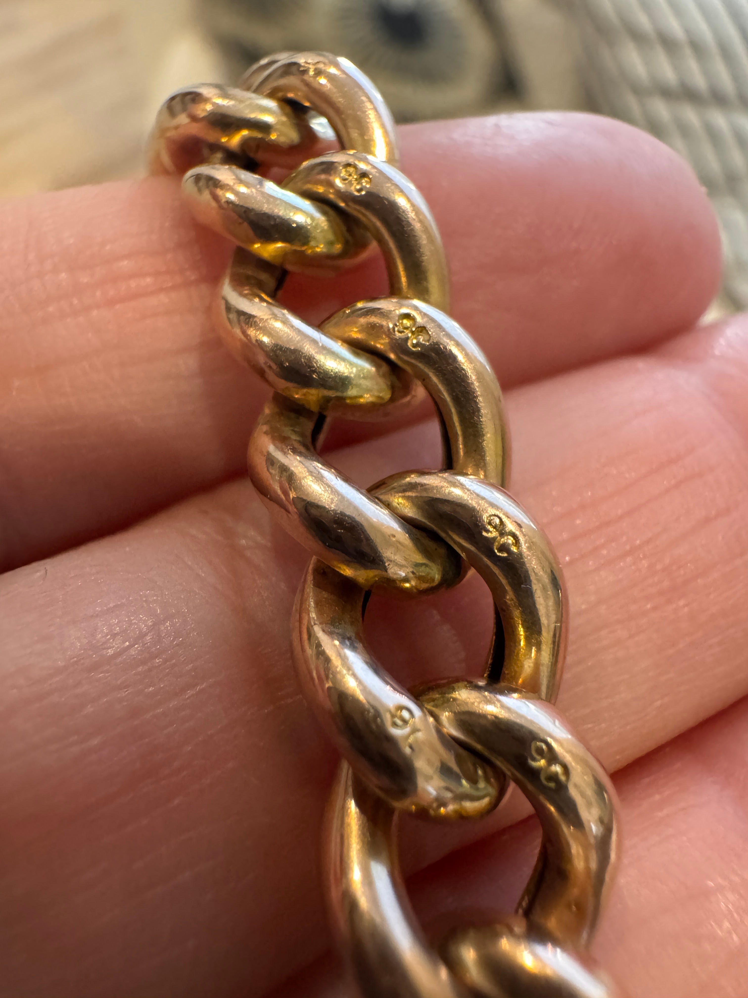 Chubby Antique Curb and Padlock